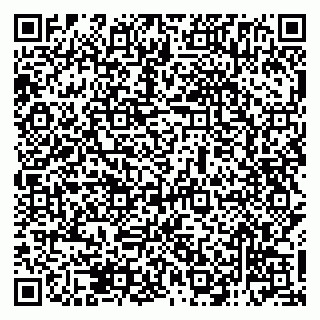 vCard 79138285378