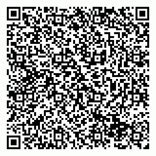 vCard 79138285385