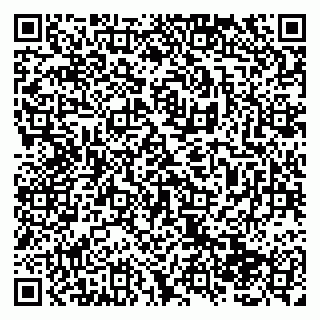 vCard 79138285396