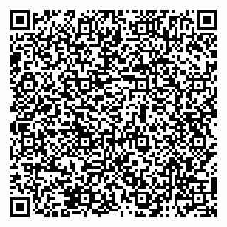 vCard 79138285404
