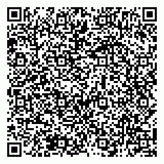 vCard 79138285441
