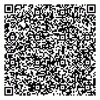 vCard 79138285447