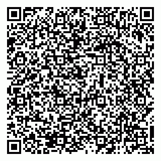 vCard 79138285463