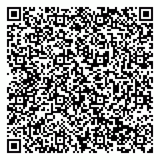 vCard 79138285486