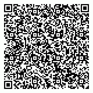 vCard 79138285487
