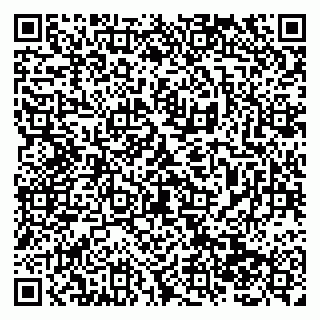 vCard 79138285489