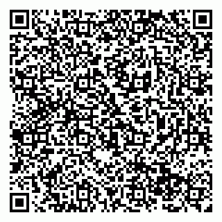 vCard 79138285673