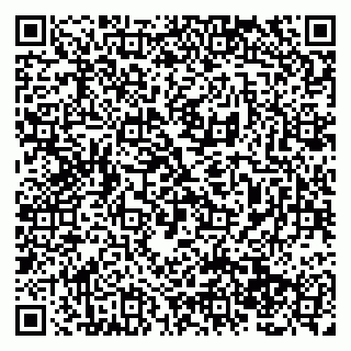 vCard 79138285693