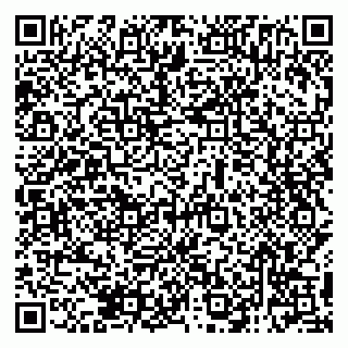 vCard 79138285697