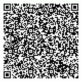 vCard 79138285704