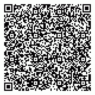 vCard 79138285709
