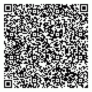 vCard 79138285804