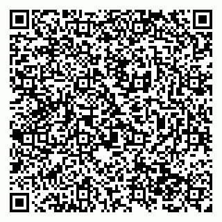 vCard 79138285877