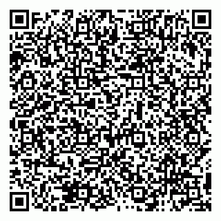 vCard 79138285993