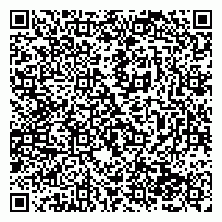 vCard 79138286003