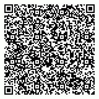 vCard 79138286013