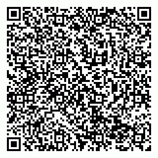 vCard 79138286019