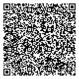vCard 79138286102