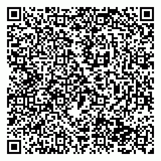 vCard 79138286115