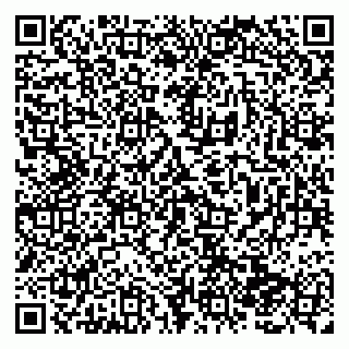 vCard 79138286131