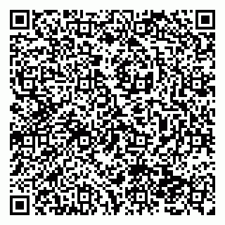 vCard 79138286133