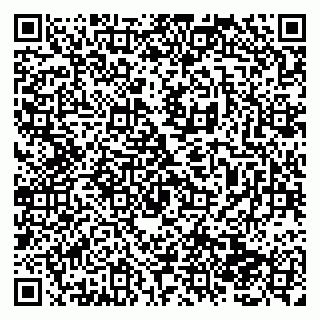 vCard 79138286137