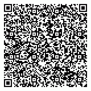 vCard 79138286155