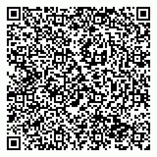 vCard 79138286176