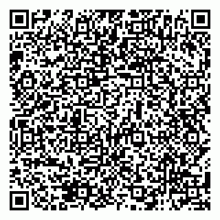 vCard 79138286181
