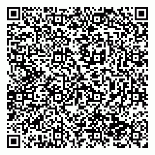 vCard 79138286183