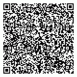 vCard 79138286231