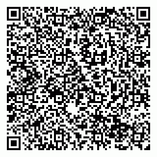 vCard 79138286233