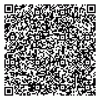 vCard 79138286285