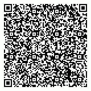 vCard 79138286286