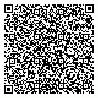 vCard 79138286290