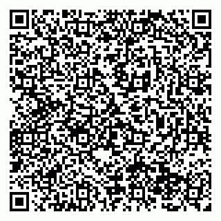 vCard 79138286294