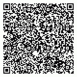 vCard 79138286302