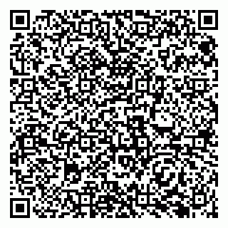 vCard 79138286303
