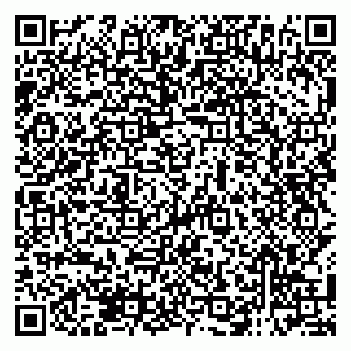 vCard 79138286306