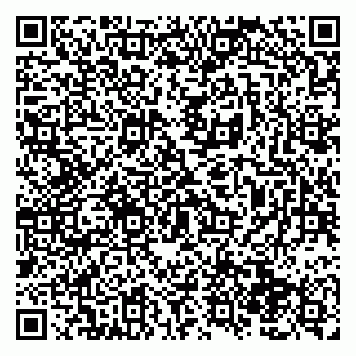 vCard 79138286307