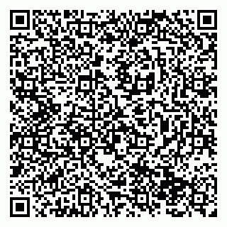 vCard 79138286309