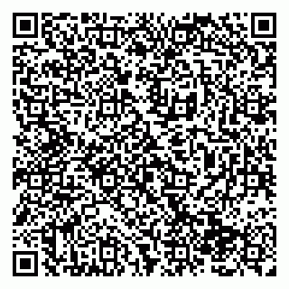 vCard 79138286325