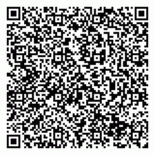 vCard 79138286331