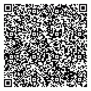 vCard 79138286334