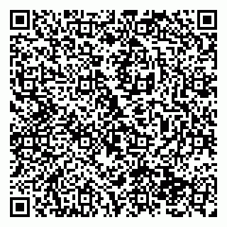 vCard 79138286335