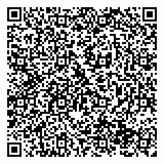 vCard 79138286339
