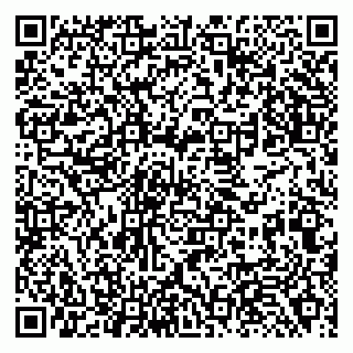 vCard 79138286345