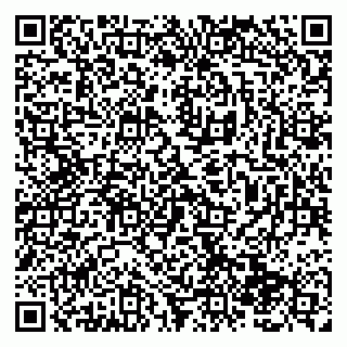 vCard 79138286355