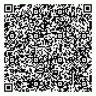vCard 79138286359