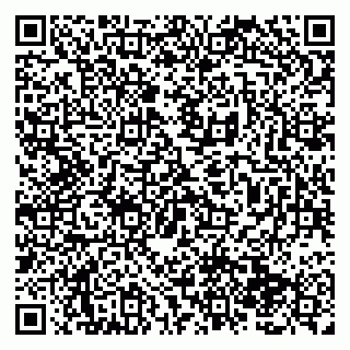 vCard 79138286384